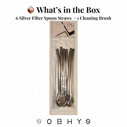 Premium Stainless Steel Spoon Straws Set - Silver-L-filter Straws collection SOBHYS - UAE