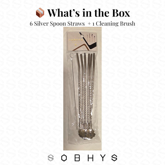 Premium Stainless Steel Spoon Straws Set - Silver-Spoon Straws collection SOBHYS - UAE