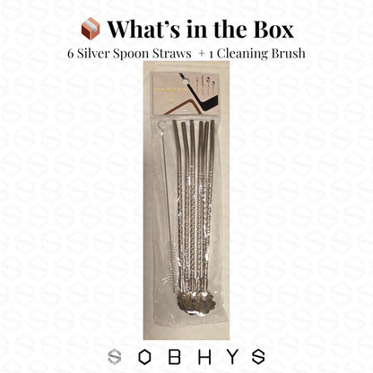 Premium Stainless Steel Spoon Straws Set - Silver-Spoon Straws collection SOBHYS - UAE