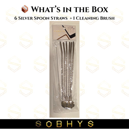 SOBHYS Premium Stainless Steel Spoon Straws Set, 304 Grade Steel, 21.5 cm Length, Rust-Resistant Filter Design, Silver, 6-Pack with Cleaning Brush, Dishwasher Safe (Silver-Spoon)