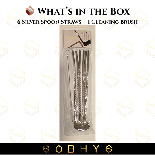 SOBHYS Premium Stainless Steel Spoon Straws Set, 304 Grade Steel, 21.5 cm Length, Rust-Resistant Filter Design, Silver, 6-Pack with Cleaning Brush, Dishwasher Safe (Silver-Spoon)