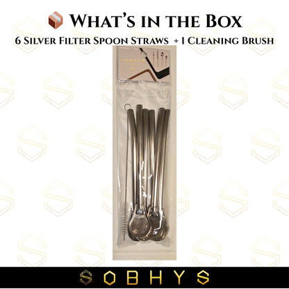 SOBHYS Premium Stainless Steel Spoon Straws Set, 304 Grade Steel, 21.5 cm Length, Rust-Resistant Filter Design, Silver, 6-Pack with Cleaning Brush, Dishwasher Safe (Silver-L-filter)
