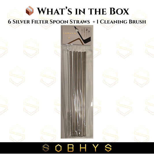SOBHYS Premium Stainless Steel Spoon Straws Set, 304 Grade Steel, 21.5 cm Length, Rust-Resistant Filter Design, Silver, 6-Pack with Cleaning Brush, Dishwasher Safe (Silver-Straight)
