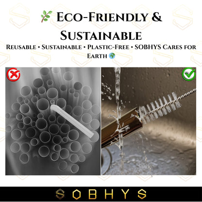 SOBHYS Premium Stainless Steel Spoon Straws Set, 304 Grade Steel, 21.5 cm Length, Rust-Resistant Filter Design, Silver, 6-Pack with Cleaning Brush, Dishwasher Safe (Silver-L-filter)